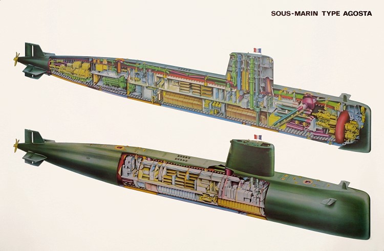 Ecorché SM Agosta