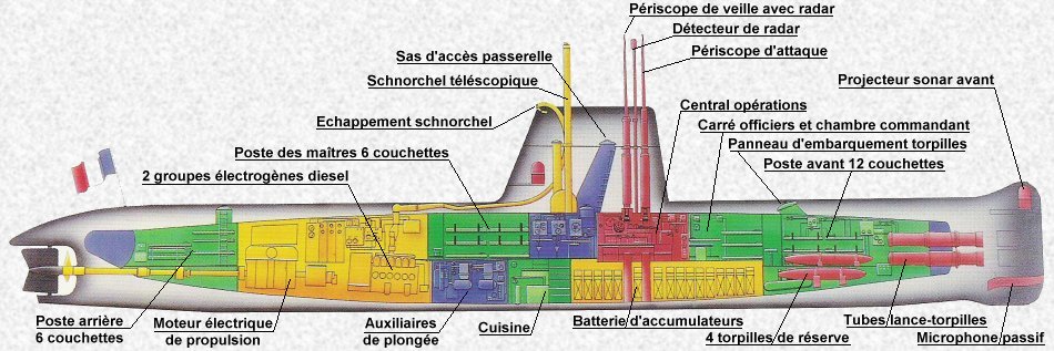 SM Arethuse écorché